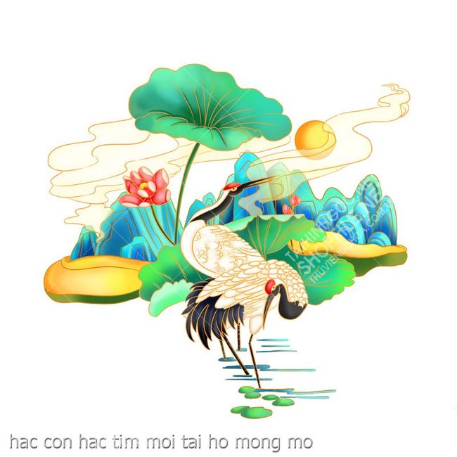 hac con hac tim moi tai ho mong mo